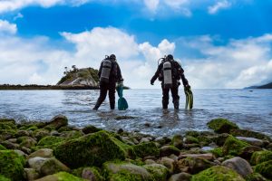 The Best Place For Scuba Diving in Singapore